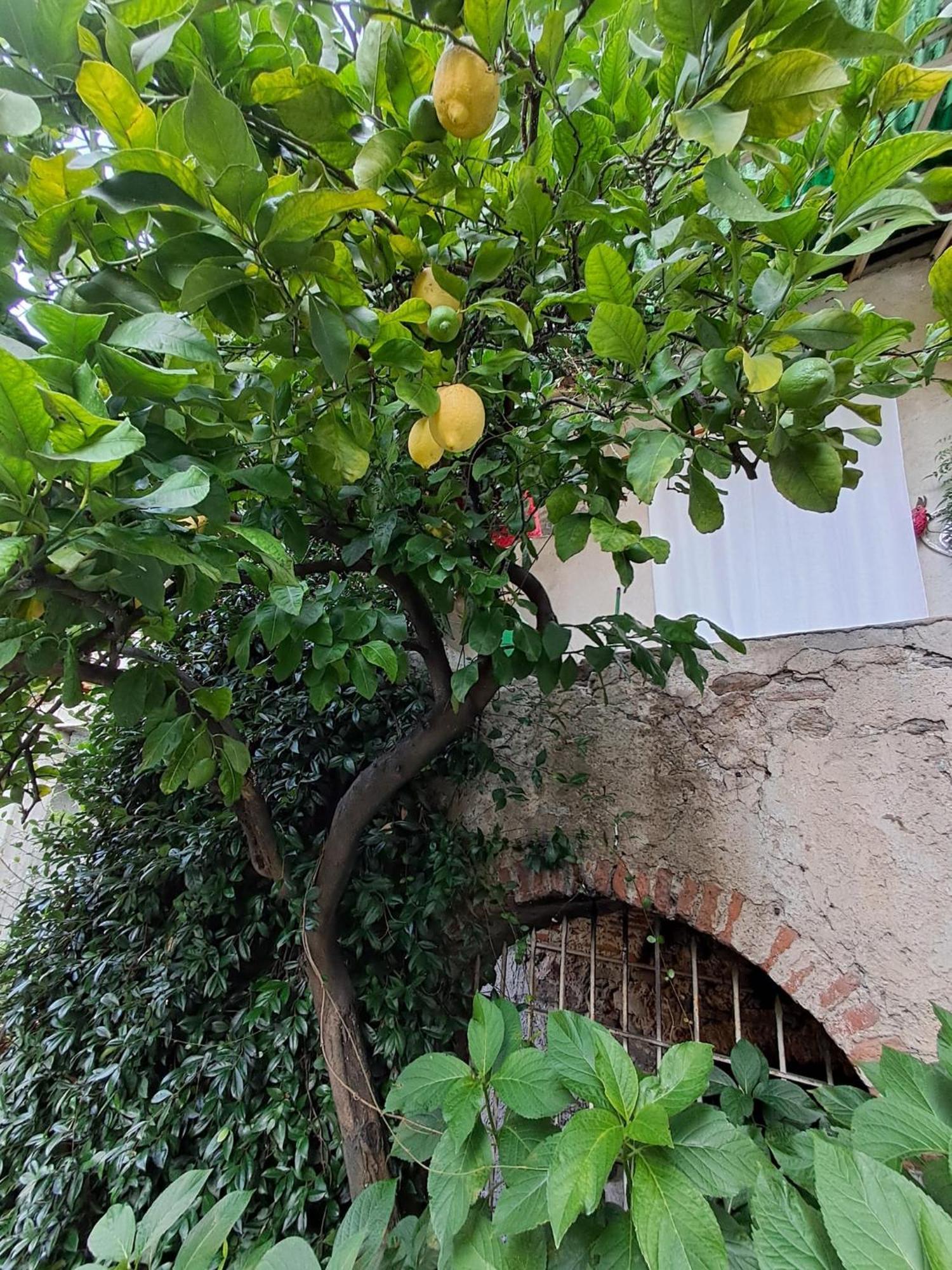 Nonna Anita Bed & Breakfast Castelveccana Exterior photo