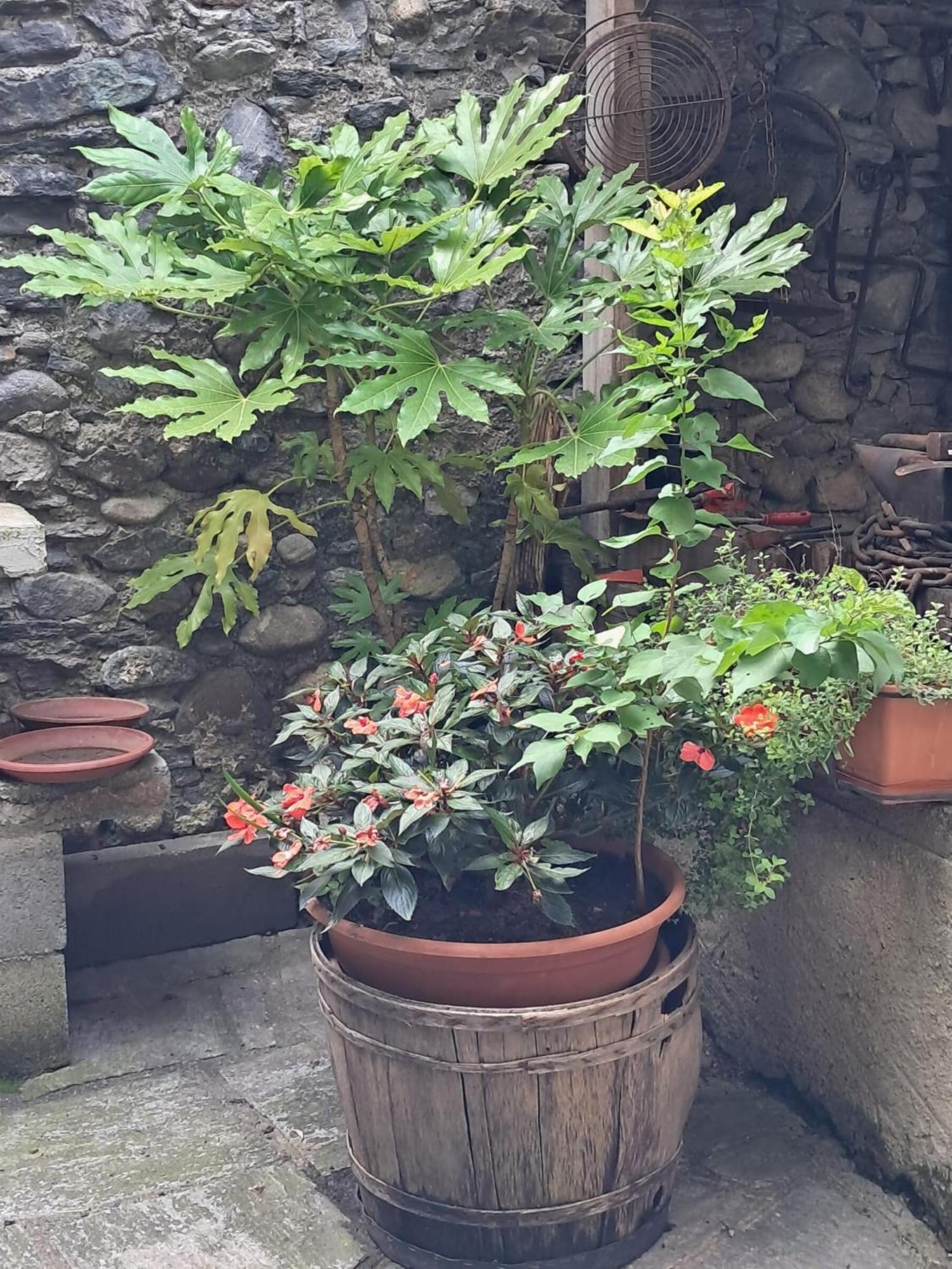 Nonna Anita Bed & Breakfast Castelveccana Exterior photo