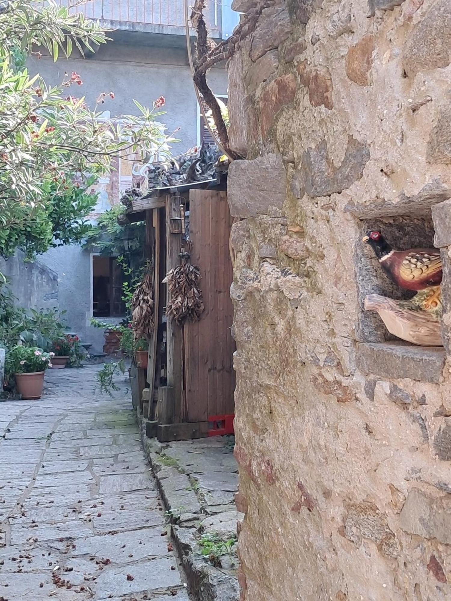 Nonna Anita Bed & Breakfast Castelveccana Exterior photo