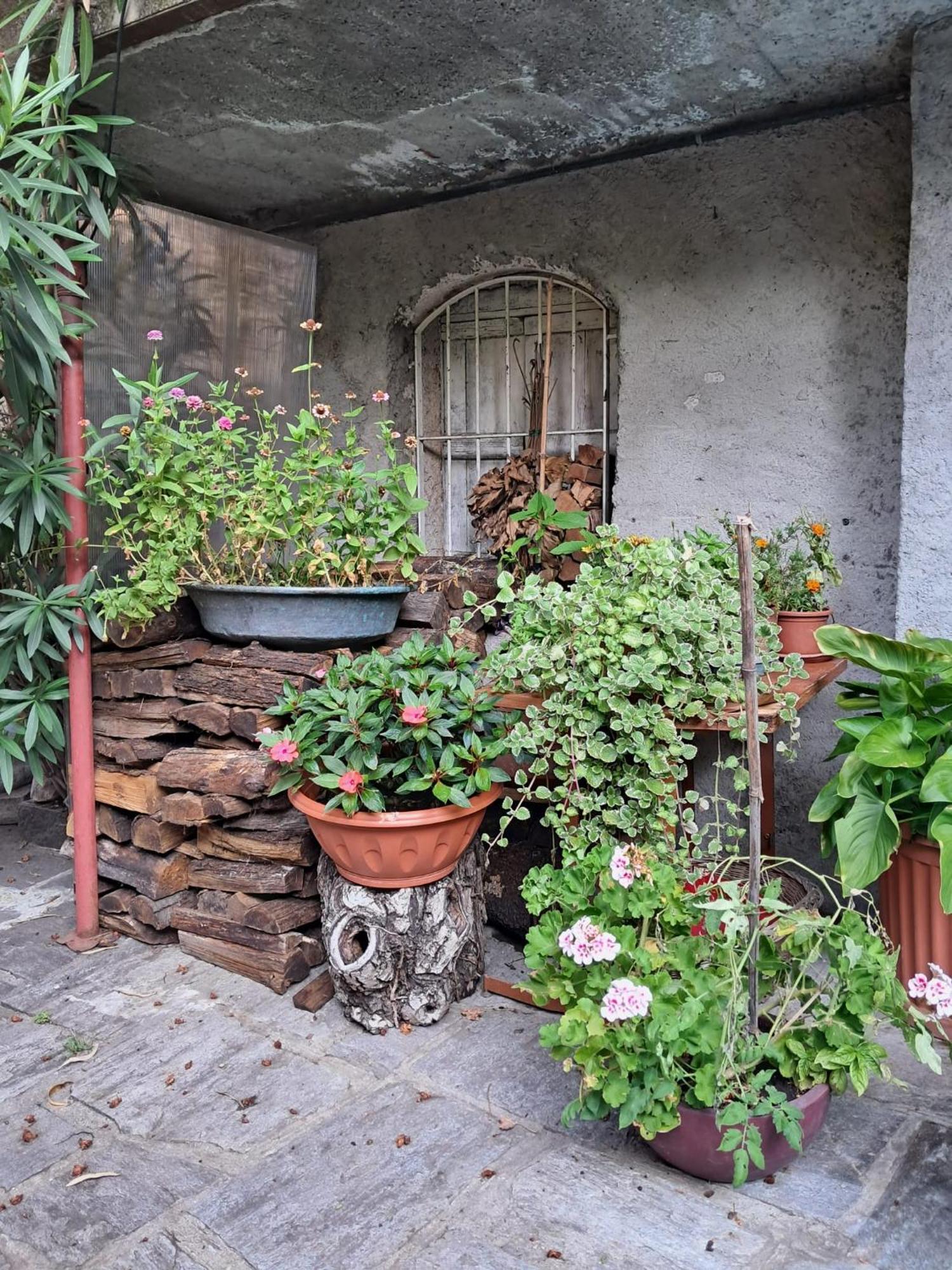 Nonna Anita Bed & Breakfast Castelveccana Exterior photo